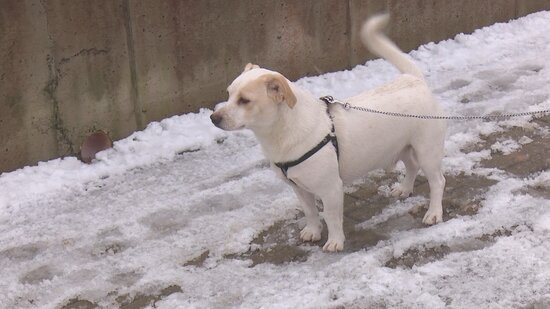 rsz_sunsfoto (1).jpg